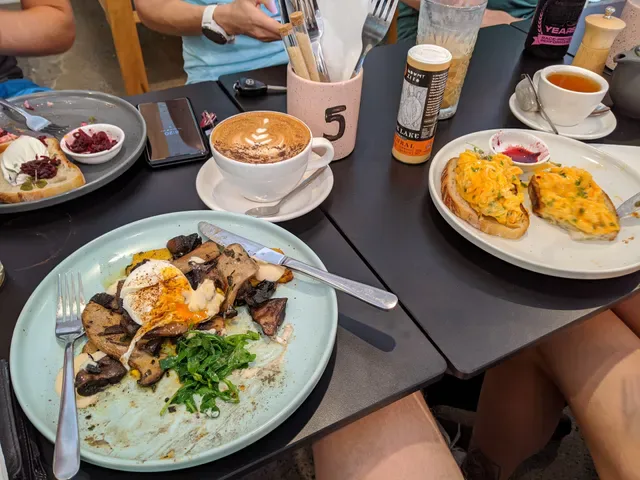 Groundhog Social