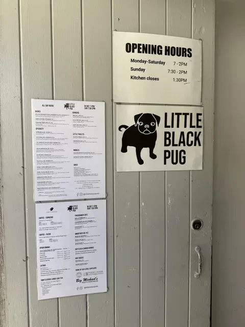 Little Black Pug