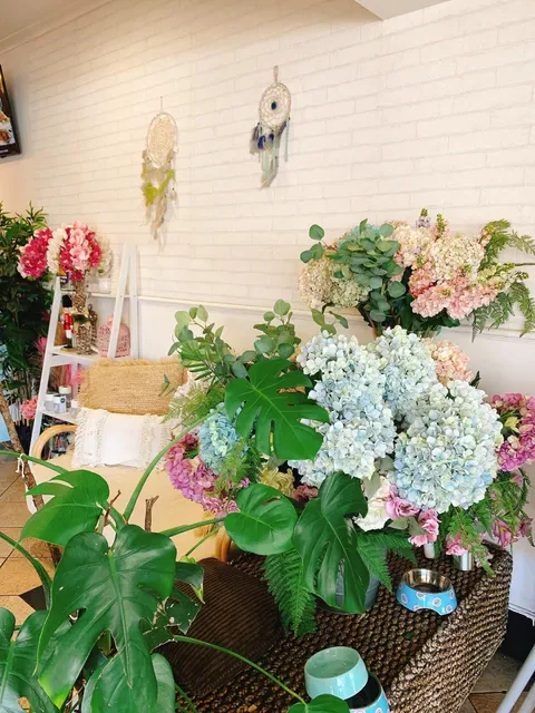 Little Dreamer Cafe