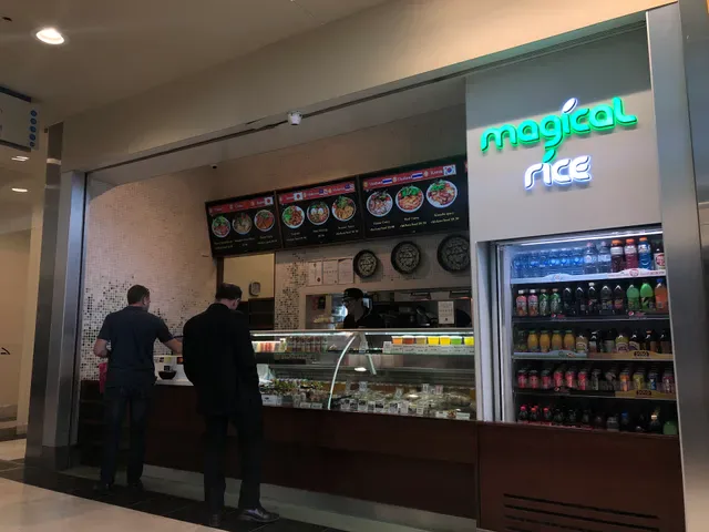 Magical Rice