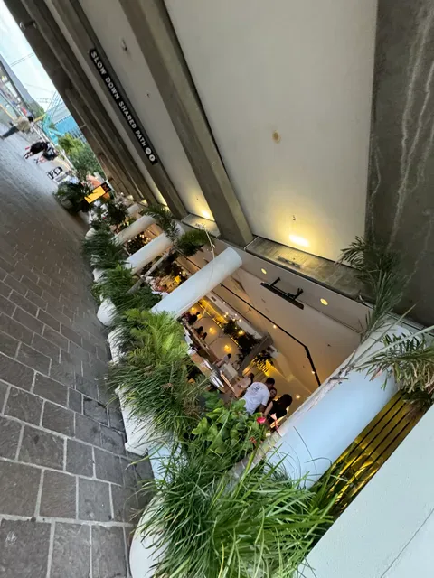 Massimo Restaurant & Bar