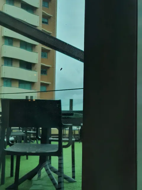 Motion Dining