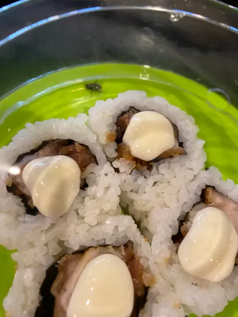 Nori Sushi Mater