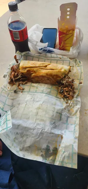 Pani Kebabs