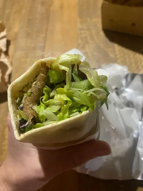 Pani Kebabs
