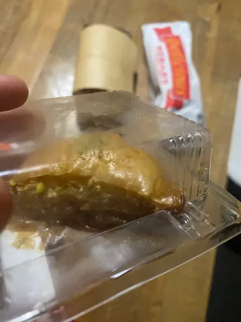 Pani Kebabs