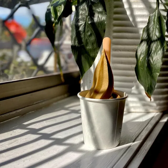 Passport Specialty Coffee