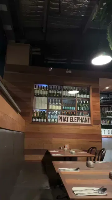 Phat Elephant