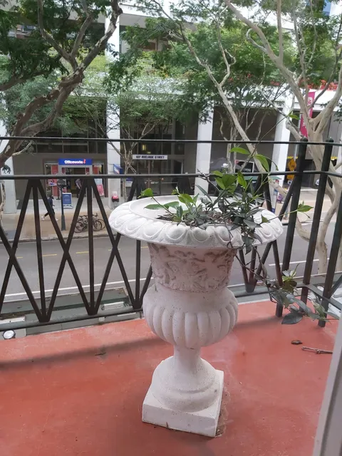 Room with Roses
