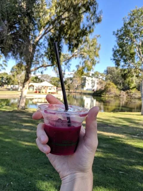Satori Organics