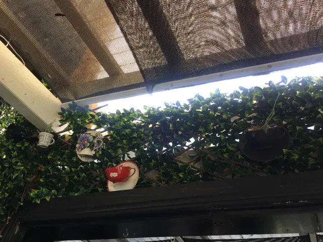 Simple Bliss Coffee