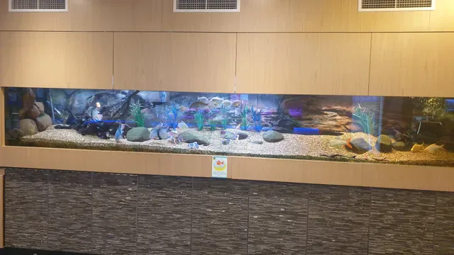 The Blue Fin Fishing Club
