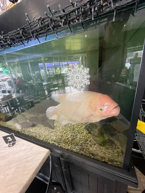 The Crepe Cafe