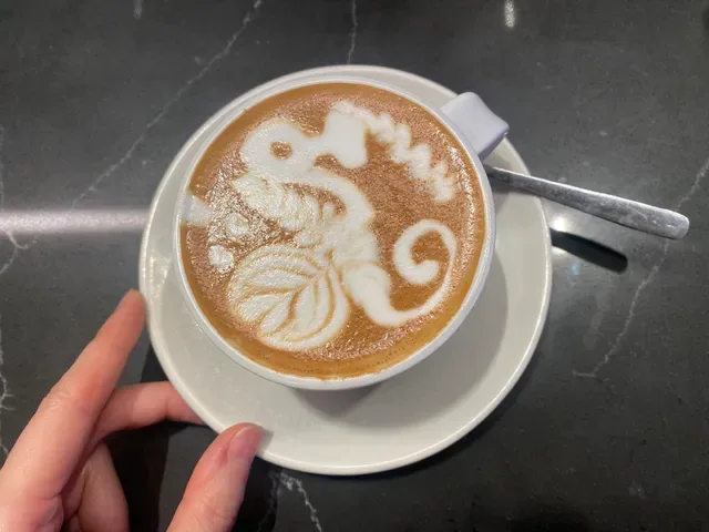 The Hideout Specialty Coffee on Adelaide