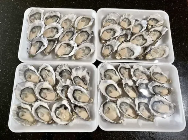 Toowong Fish Market