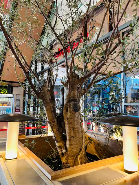 Vapiano Garden City