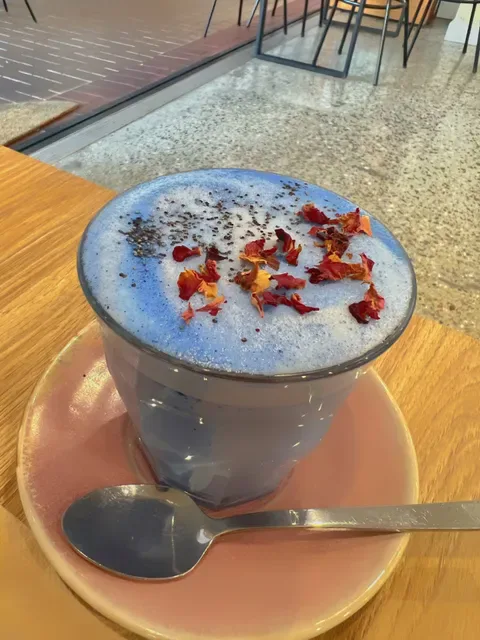 Vega cafe