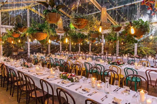 Wild Canary Bistro