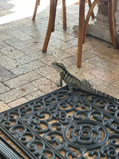 Wild Canary Bistro