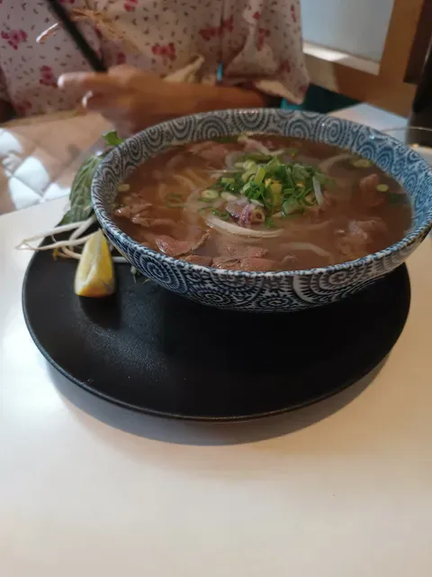 Xin Chào