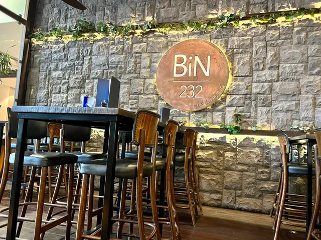 BiN 232