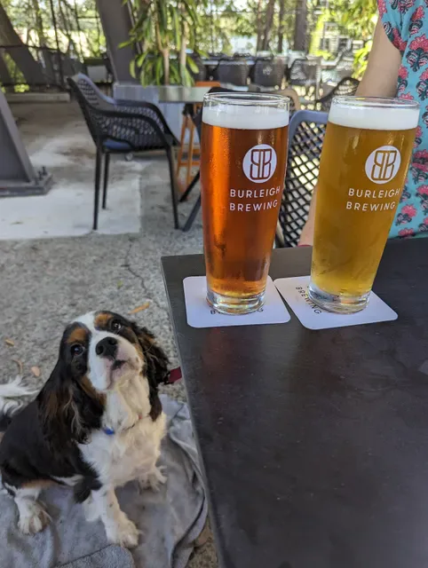 Burleigh Brewing Company