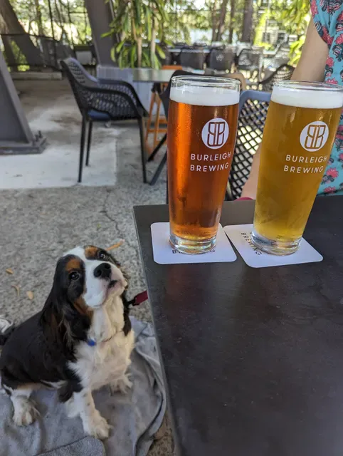 Burleigh Brewing Company