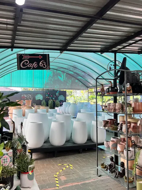 Cafe 63 Ross Evans