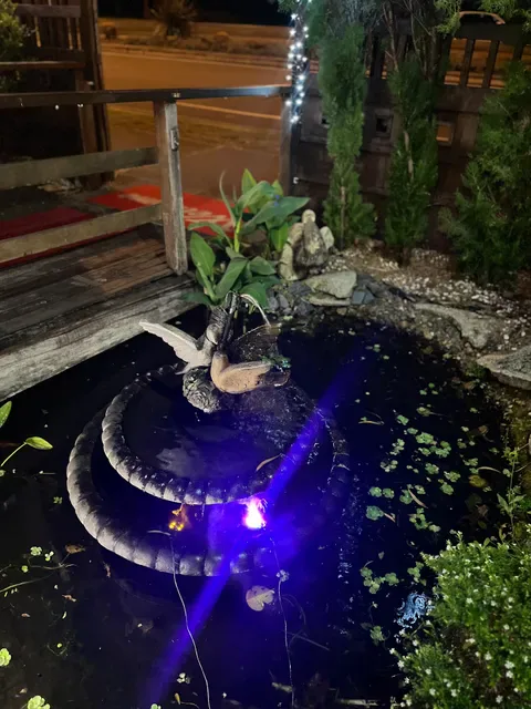 Chiangmai Thai Broadbeach