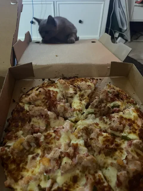 Do One Pizza