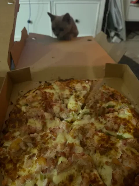 Do One Pizza