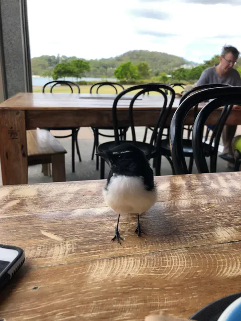 Dune Cafe, Currumbin