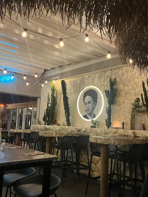 Frida Sol