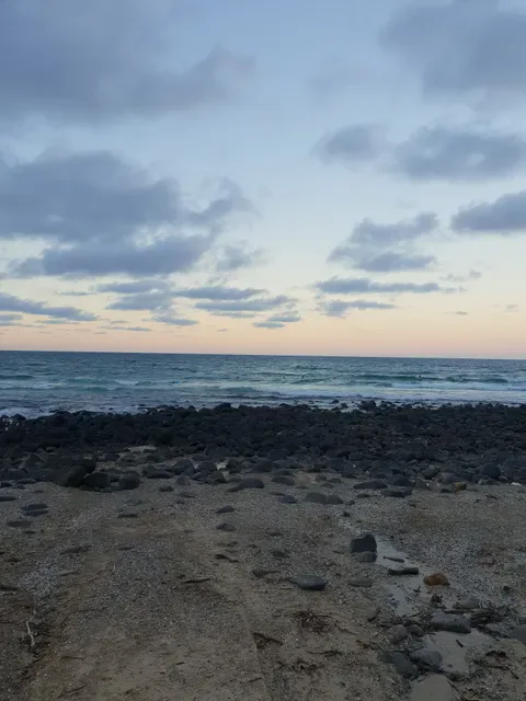 Kirra Beach Surf Club