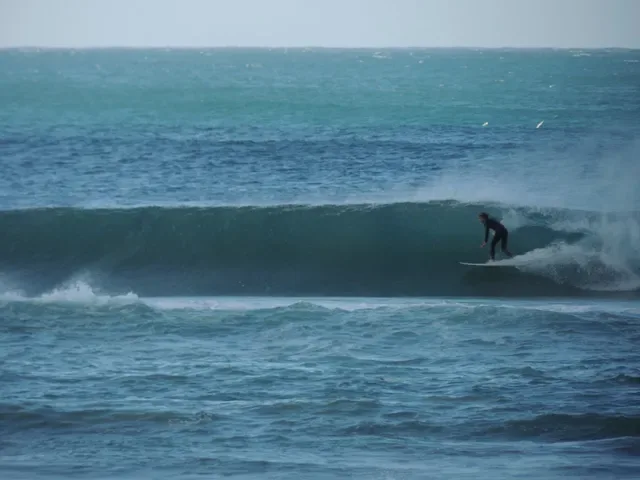 Kirra Beach Surf Club