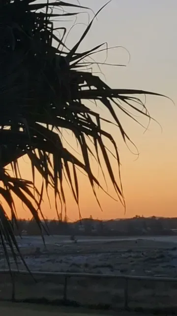 Kirra Beach Surf Club