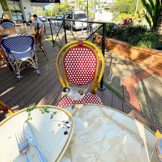 Le Jardin Cafe Restaurant