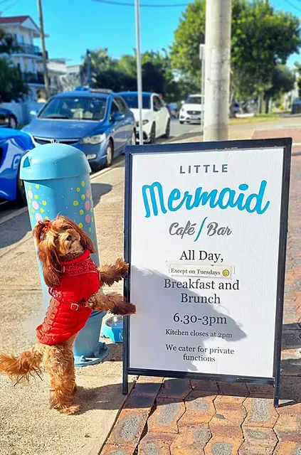 Little Mermaid Cafe Bar