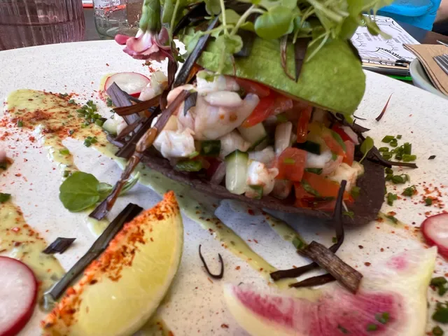NUDE AMIGOS BROADBEACH