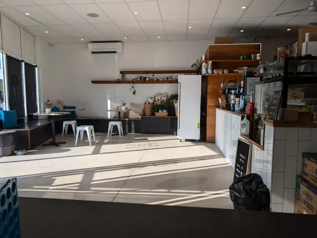 Papercup Coffee Labrador