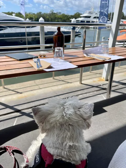 Quarterdeck Kitchen + Bar