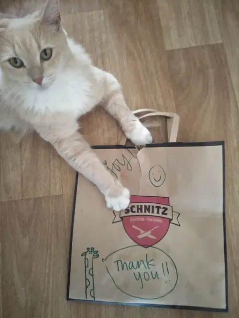 Schnitz Robina