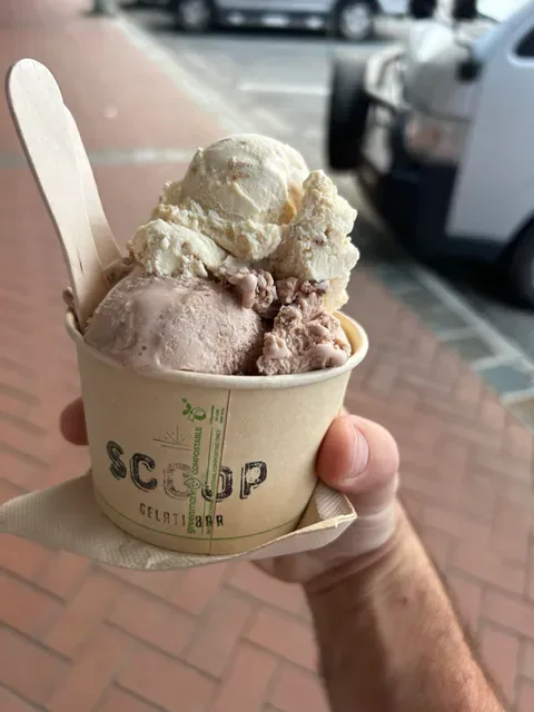 Scoop Gelati