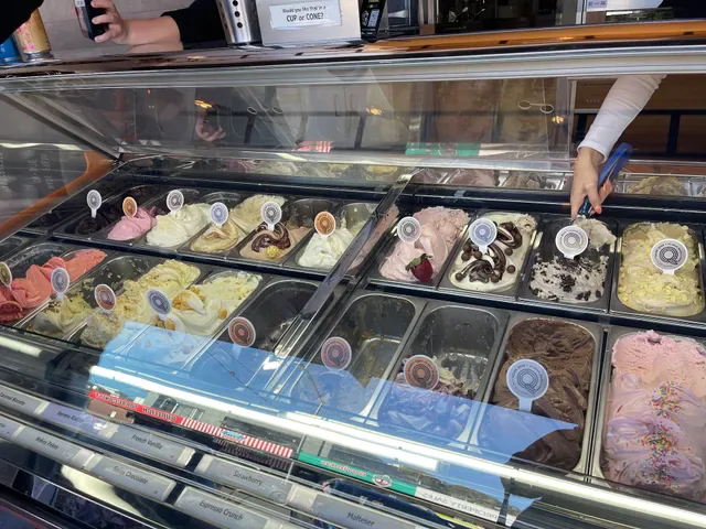 Scoop Gelati