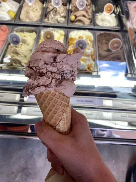 Scoop Gelati