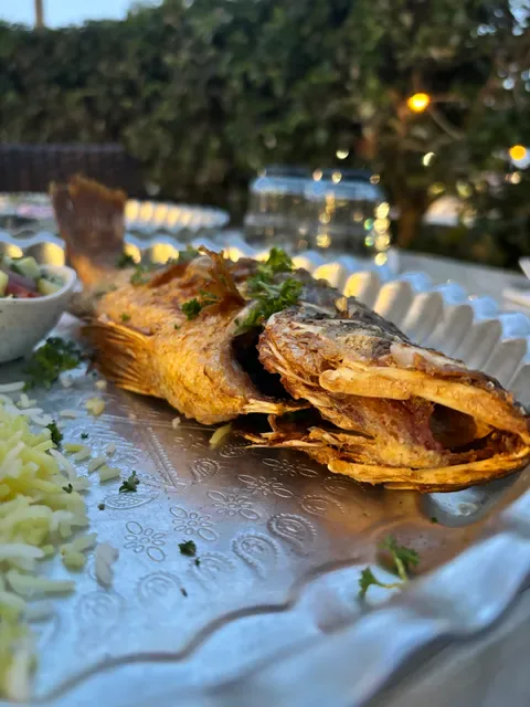 Shiraz Persian Restaurant & Bar Surfers Paradise