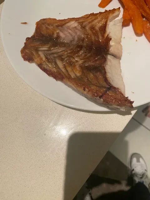 The Fish Hub