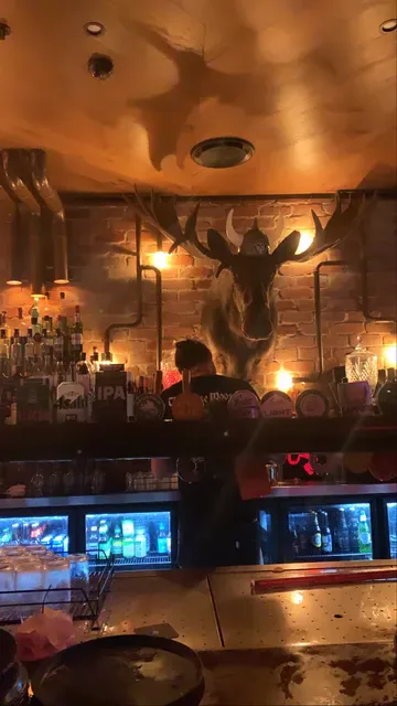 The Loose Moose