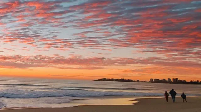 Tugun Surf Life Saving Club
