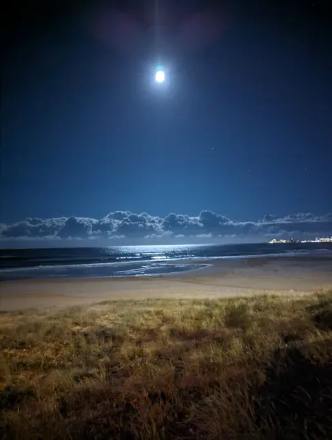 Tugun Surf Life Saving Club
